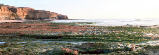 Garbage Beach at Low Tide